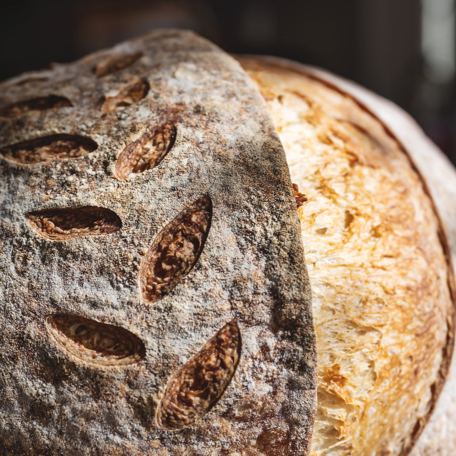 Bread, Pizza & Baking