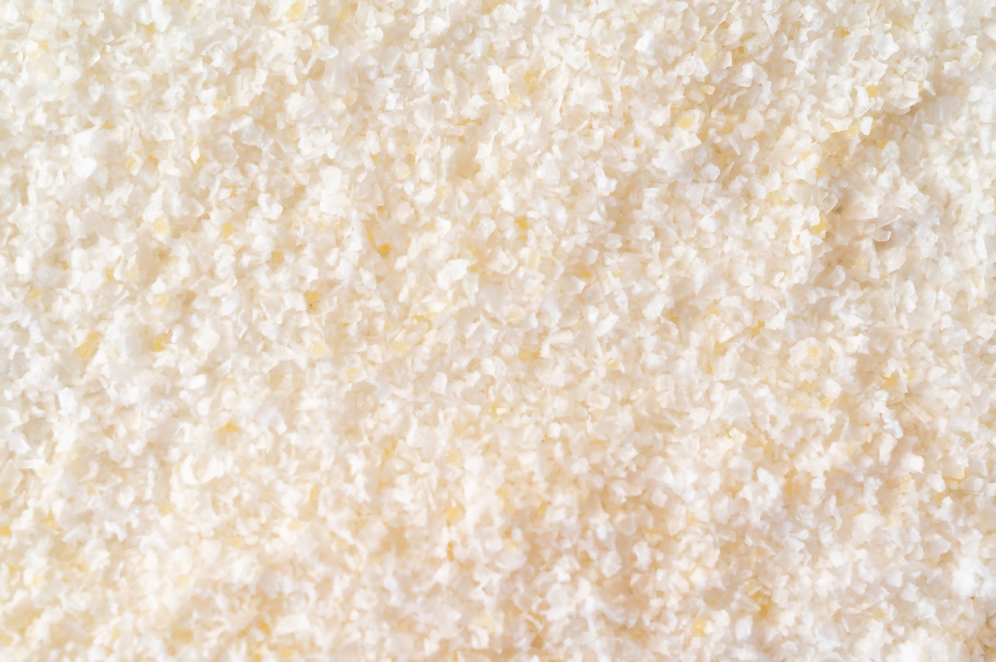Lime Sea Salt - Flour & Herbs